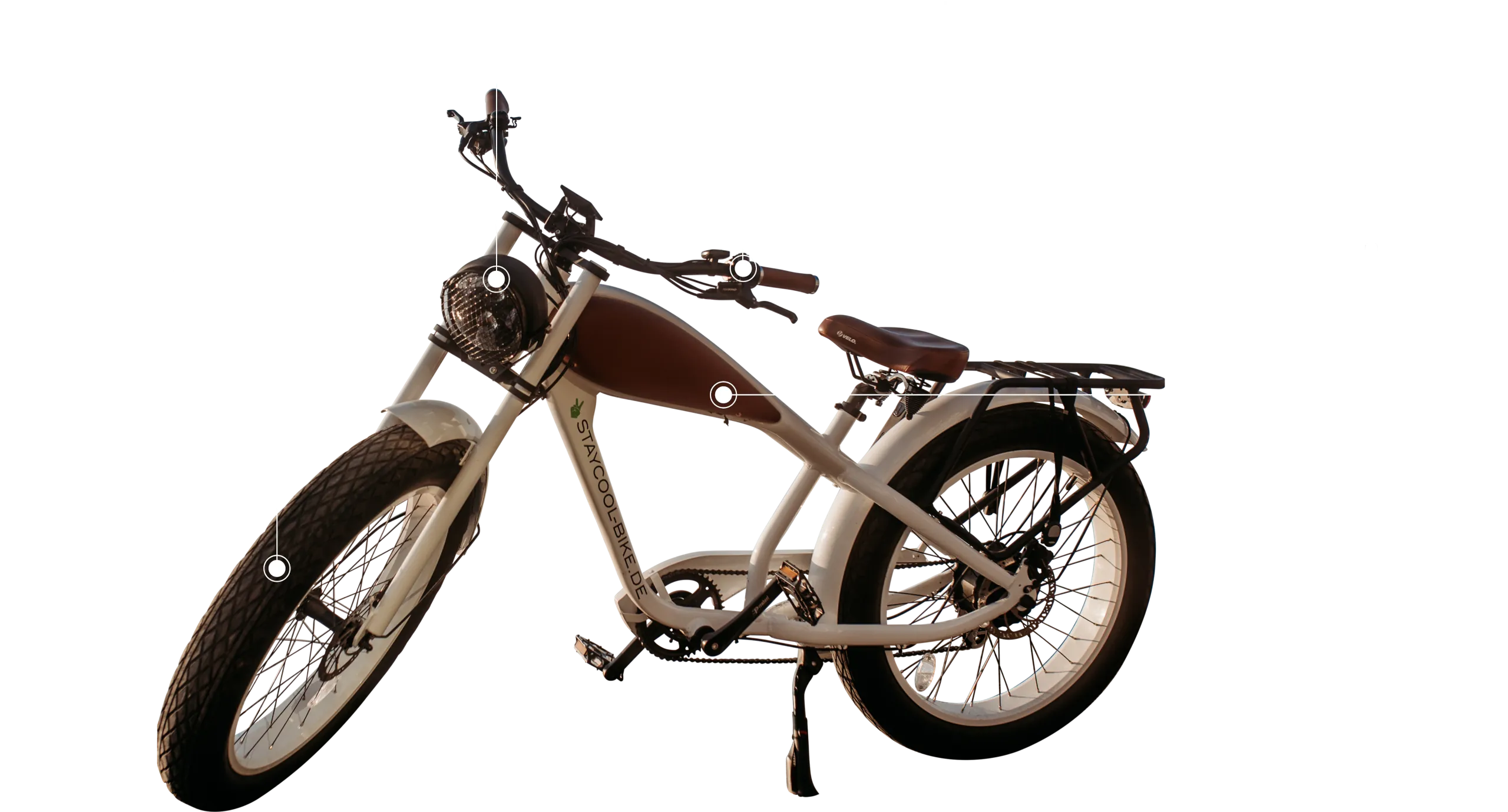leopard-bike